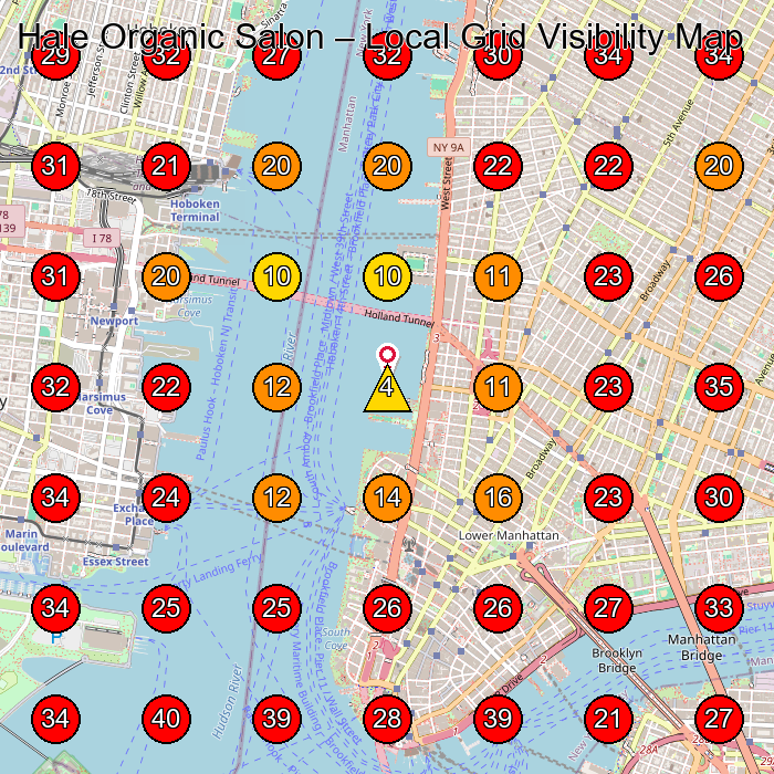 Hale Organic Salon GeoGrid visibility map for Hair Salon in New York